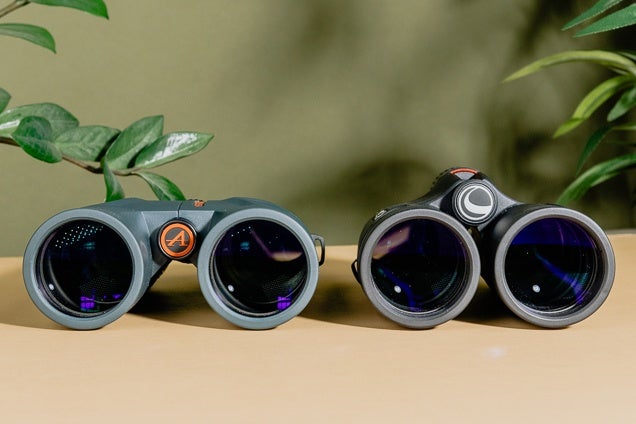 Best binoculars under $100 2023 